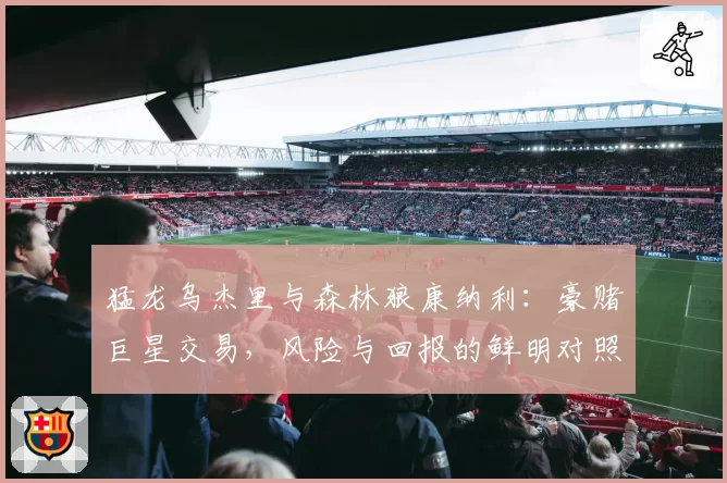 猛龙乌杰里与森林狼康纳利：豪赌巨星交易，风险与回报的鲜明对照